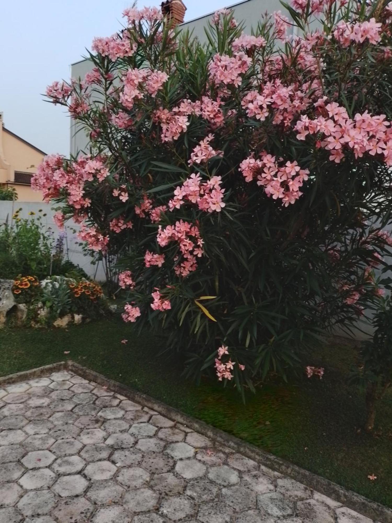 Apartman Olga Ουμάγκ Εξωτερικό φωτογραφία