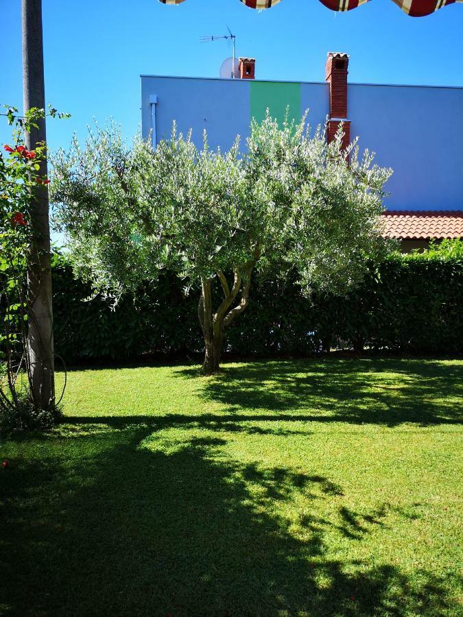 Apartman Olga Ουμάγκ Εξωτερικό φωτογραφία